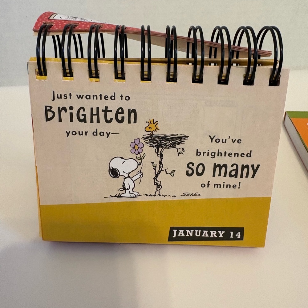 Peanuts Smiles and Blessings perpetual calendar and Notes & Stickers - Picture 3 of 5